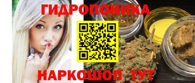 крисы Заводоуковск