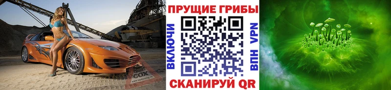 Псилоцибиновые грибы прущие грибы МЕГА ссылка Новосибирск где купить наркотик