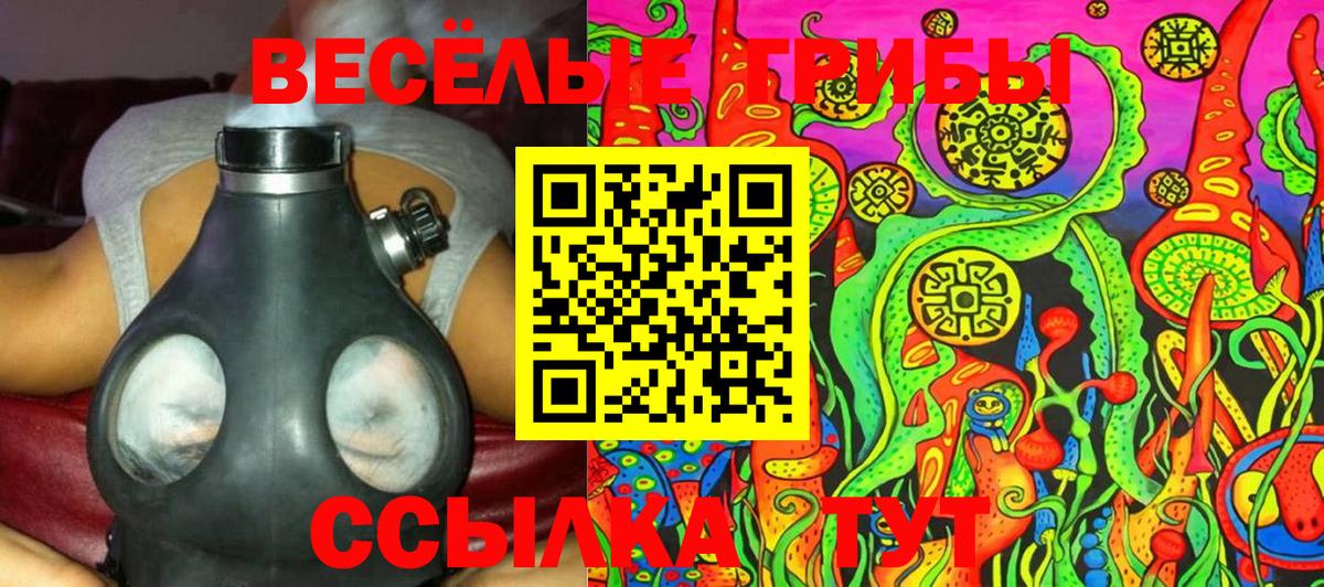 Галлюциногенные грибы Psilocybine cubensis  Вход с VPN  Новосибирск 