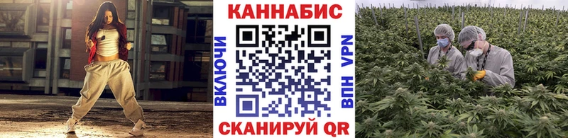 darknet клад  Новосибирск  Бошки Шишки тримм 